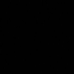 Meet your Posher, Bryce